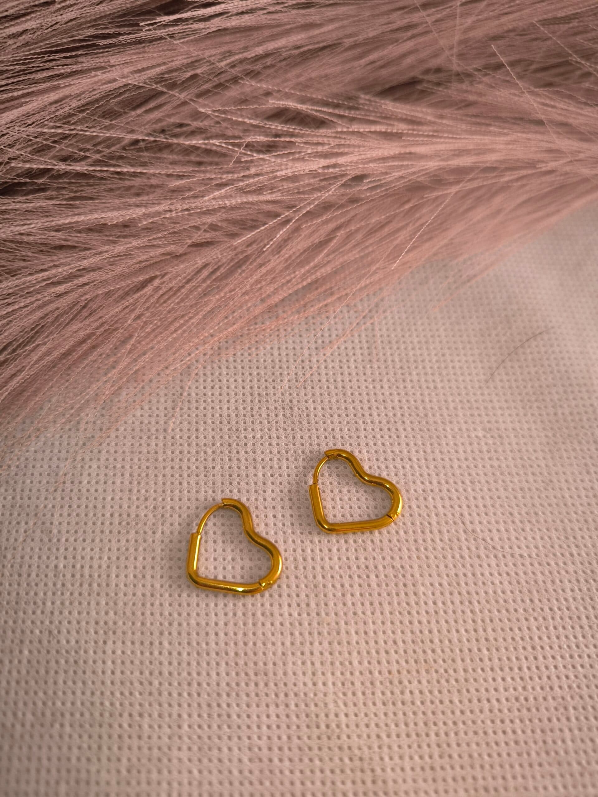 Σκουλαρίκια "Aero Hearts"